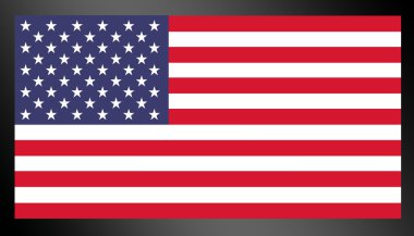 Birleşik Devletler bayrağı