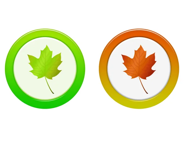 stock image Autumn leaf button