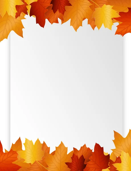 Осенний лист бумаги — стоковое фото