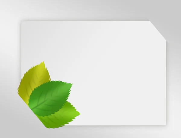 Blank paper nature — Stock Photo, Image