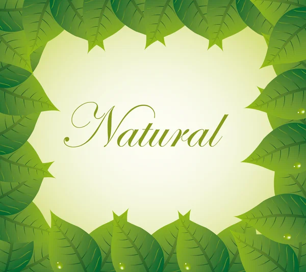 Natural background — Stock Vector