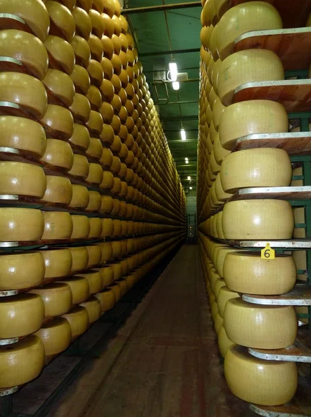 stock image Warehouse Parmesan (cheese)