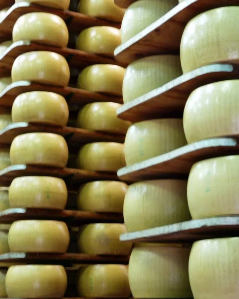 Magazzino Parmigiano (formaggio ) — Foto Stock