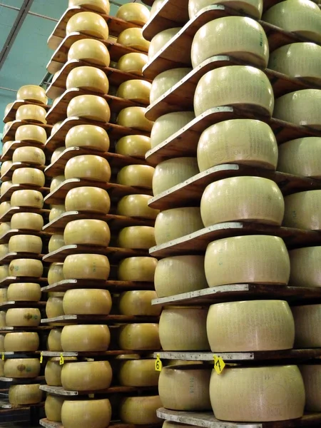 stock image Warehouse Parmesan (cheese)