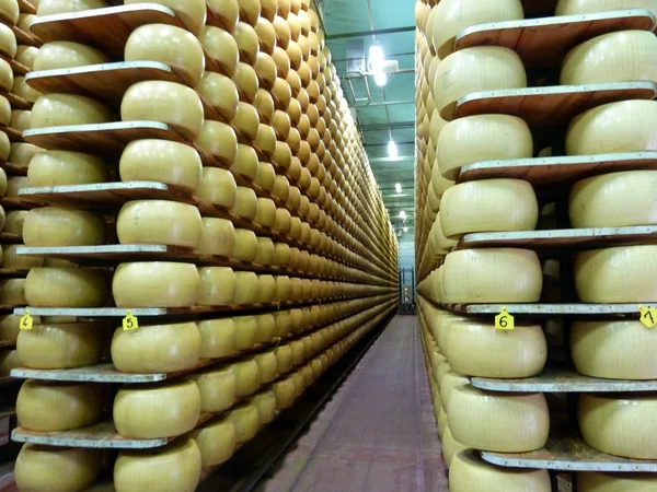 Ambar Parmesan (peynir) — Stok fotoğraf