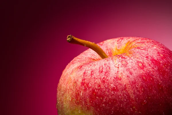 Rött äpple. makro. på en röd toning — Stockfoto