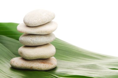 Stones and green bamboo clipart