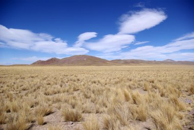 arazi, salta eyaleti (Arjantin)