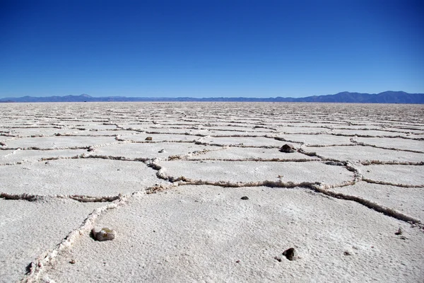 stock image The road in the Argentine Andes