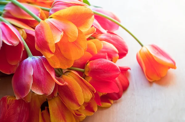 Kytice červených tulipánů — Stock fotografie