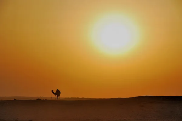 Západ slunce v poušti — Stock fotografie