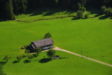 doğada evi