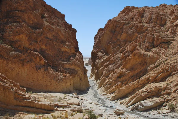 Panorama kanionu — Zdjęcie stockowe