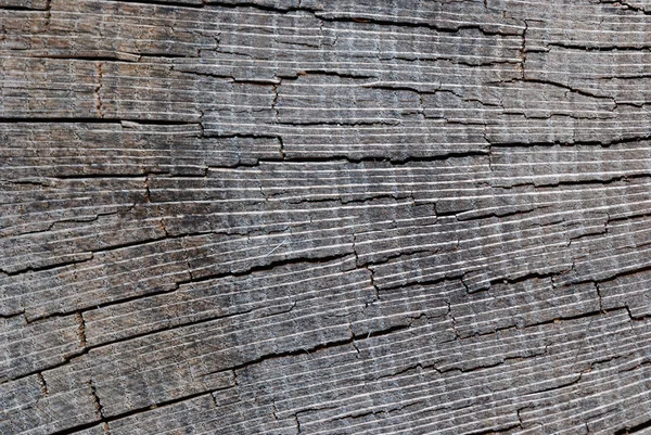 Torn wood — Stock Photo, Image