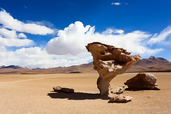Kámen, strom, arbol de piedra, Bolívie — Stock fotografie