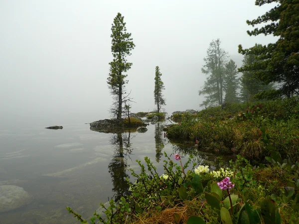 Mlha na jezeře Stock Snímky