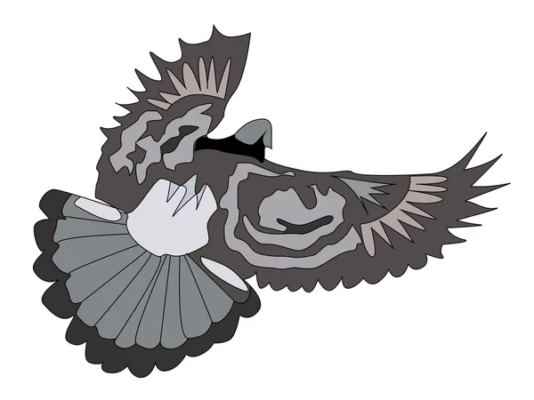 Illustrazione vettoriale con piccione Vettoriale Stock