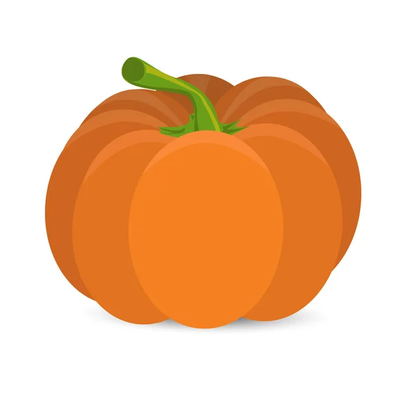 Vector illustration with pumpkin on white isolated — Stock Vector
