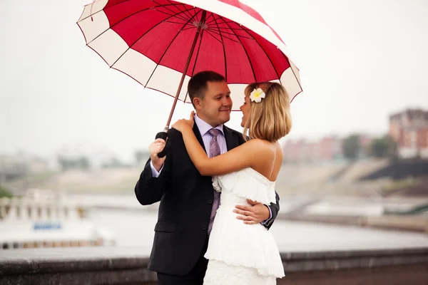 Novomanželé pod deštníkem — Stock fotografie