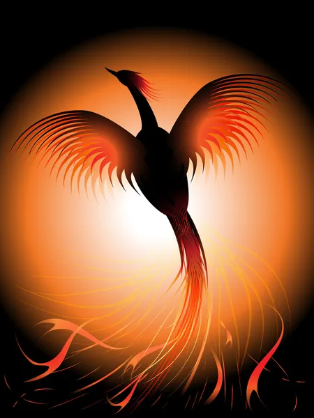 火の鳥ストックベクター ロイヤリティフリー火の鳥イラスト Depositphotos
