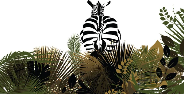 Zebra w krzakach — Zdjęcie stockowe