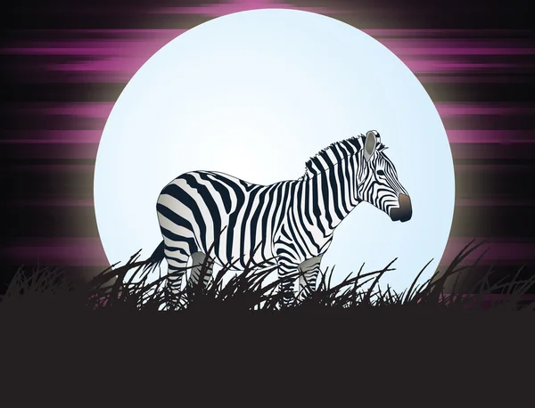 Savanna moonlight — Stock Photo, Image