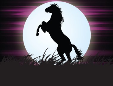 Horse in the night clipart