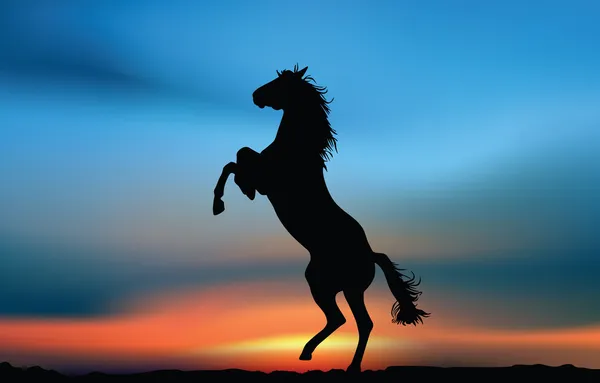 Häst på solnedgången — Stockfoto