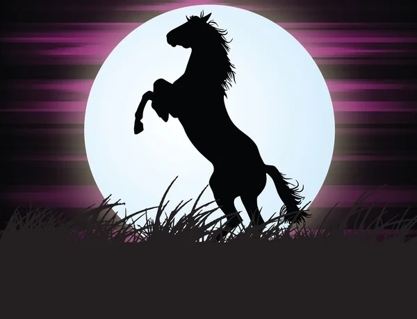 Koń w nocy — Zdjęcie stockowe