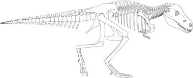 Dinosaur skeleton clipart