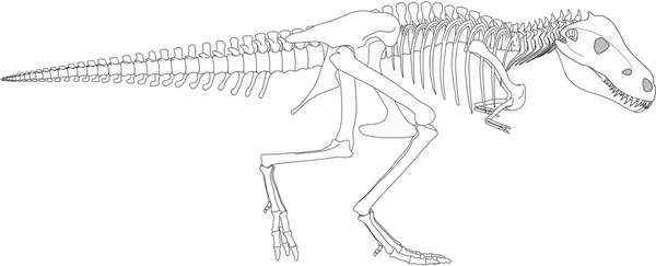 恐龙骨架 — 图库照片