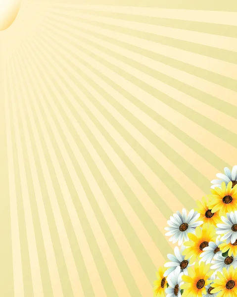 Lente en de zomer bloem — Stockfoto