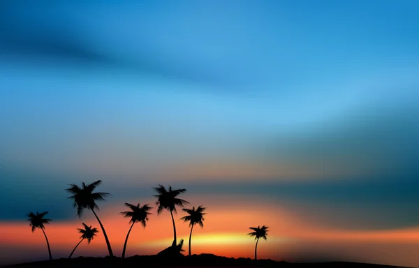 Tropical paradise in the sunset — Stock Photo, Image