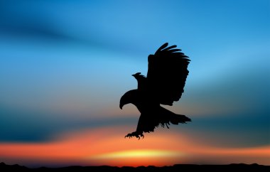 The eagle is hunting clipart