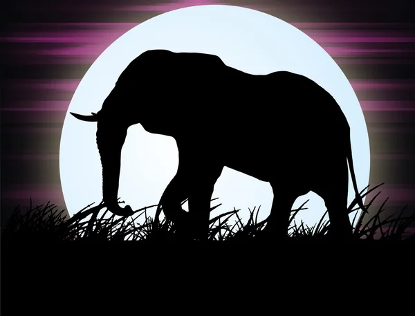 Afrikai elefánt a szavanna holdfényben — Stock Fotó
