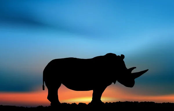 犀牛在热带稀树草原日落 — 图库照片