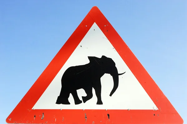 Elefant überquert Verkehrsschild — Stockfoto