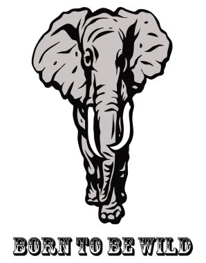 African elephant: born to be wild clipart