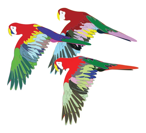 Tři ara papoušci ve fly — Stock fotografie