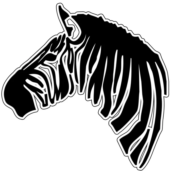 Zebra (equus burchellii)) — Stockfoto