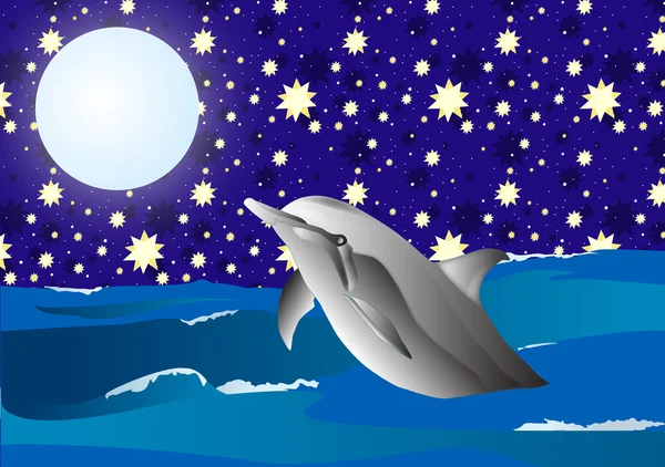 在夜晚的海豚 — 图库照片