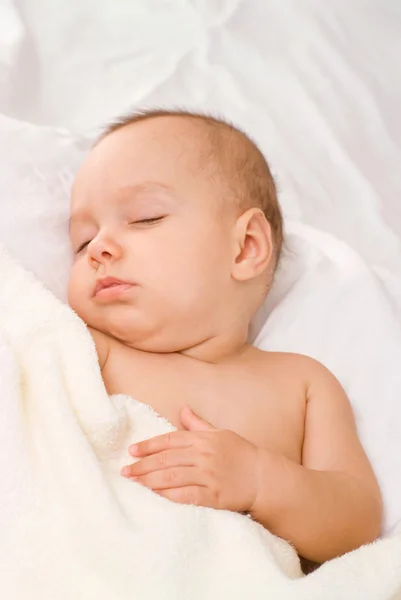 Lilla bebis sova — Stockfoto