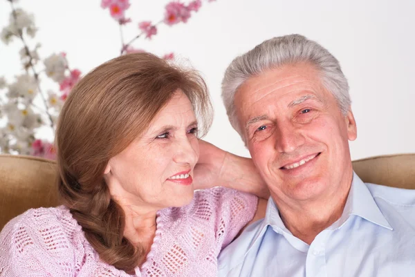 Glückliches älteres Ehepaar — Stockfoto