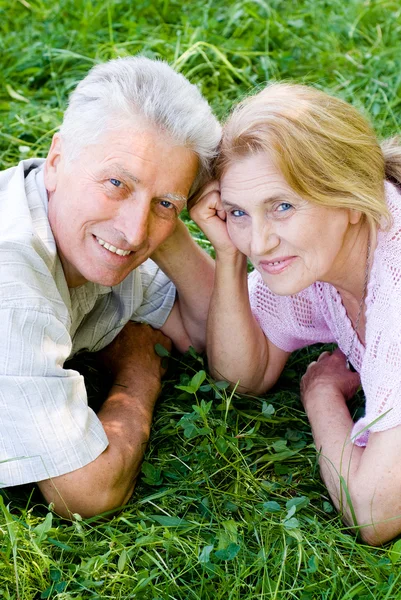 素敵な高齢者夫婦 — ストック写真