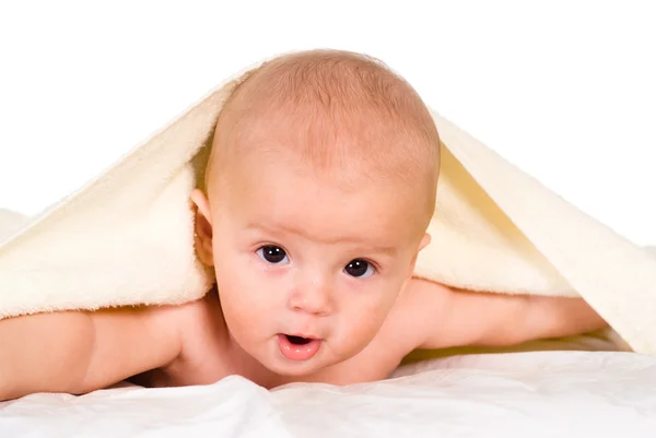 Baby onder handdoek — Stockfoto