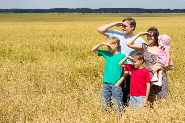 Leuk gezin op veld — Stockfoto