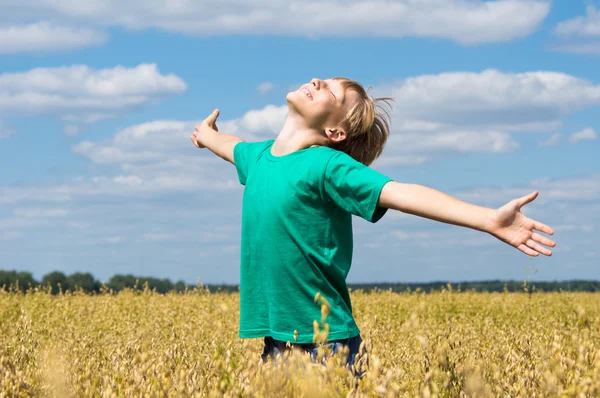 Little boy at field — Stock Photo, Image