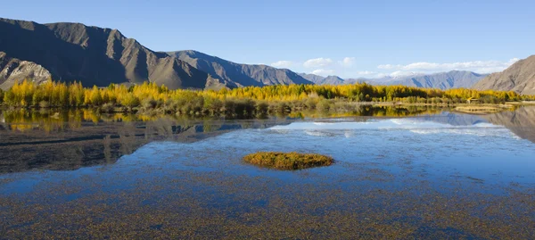 Tíbet: montaña, lago y línea de árboles — Foto de Stock