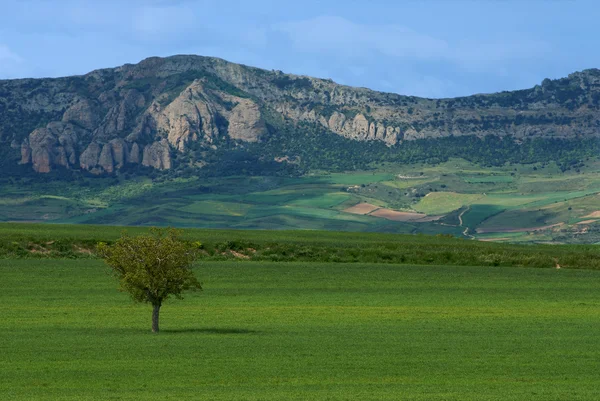 Burgos landscape — Stock Photo, Image