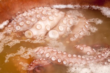 Pulpo a la gallega